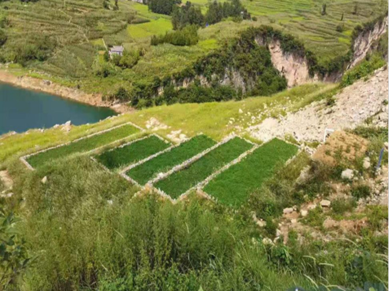 雙橋水庫集中式飲用水水源地二級保護區生活污水收集治理項目